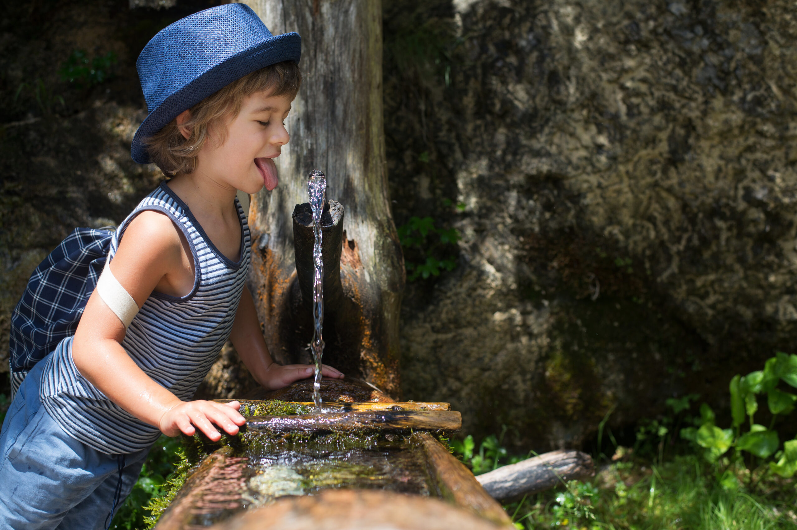 Spring water shop tap water