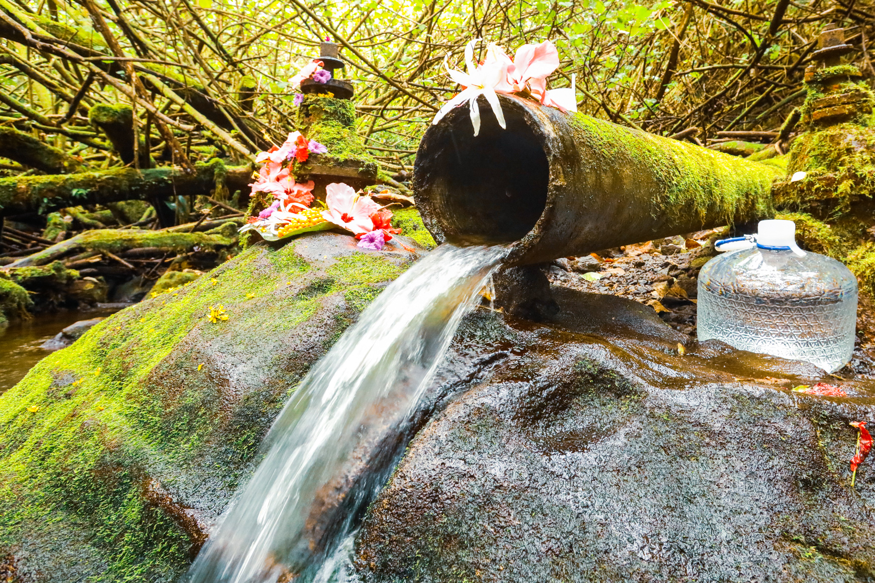 natural water spring