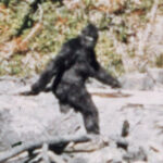 Profile photo of antnip